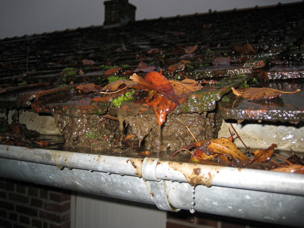 Nettoyage de gouttières à Douai